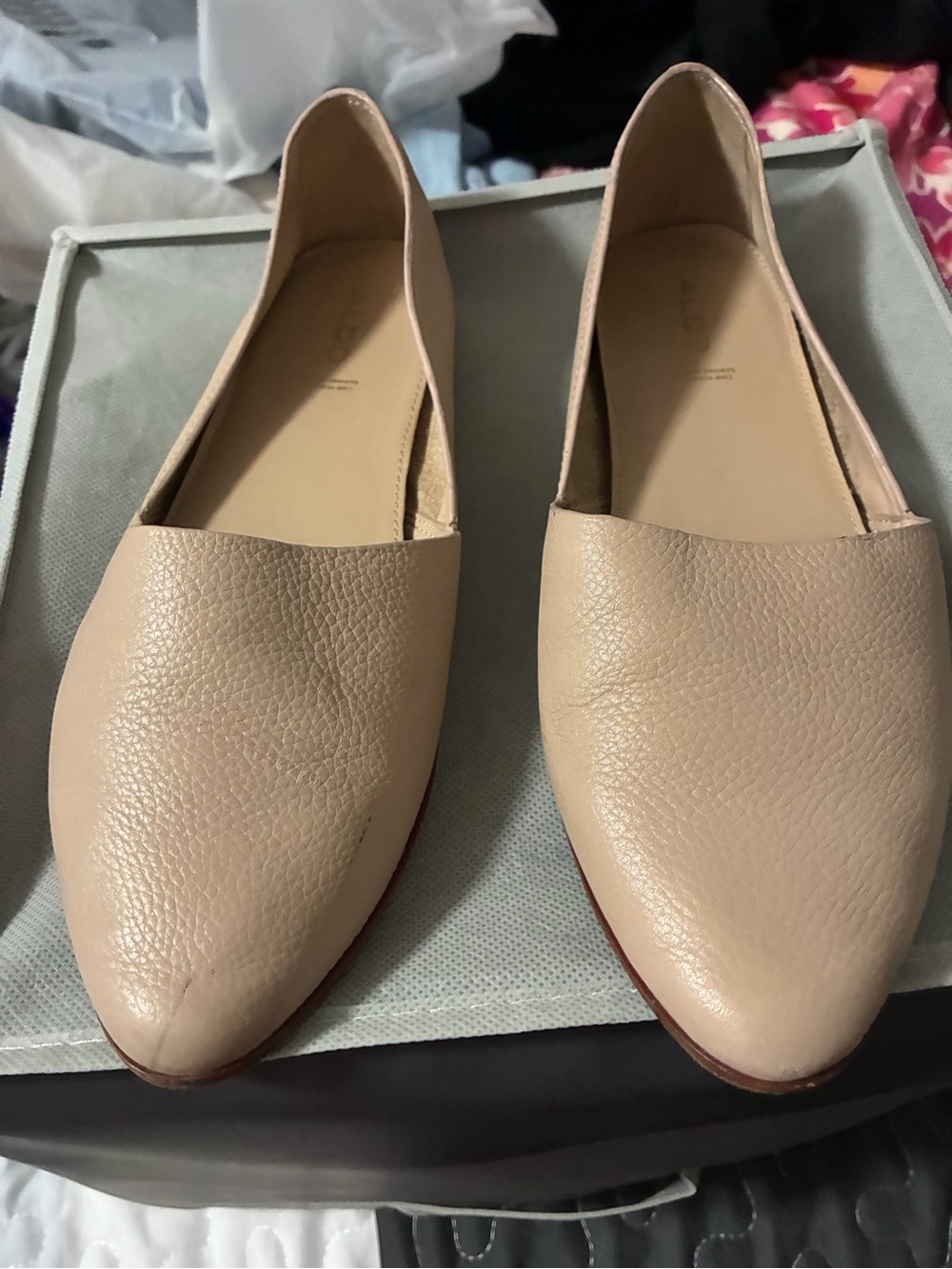 Aldo Nude Pebbled Leather Pointed Slip-On Flats